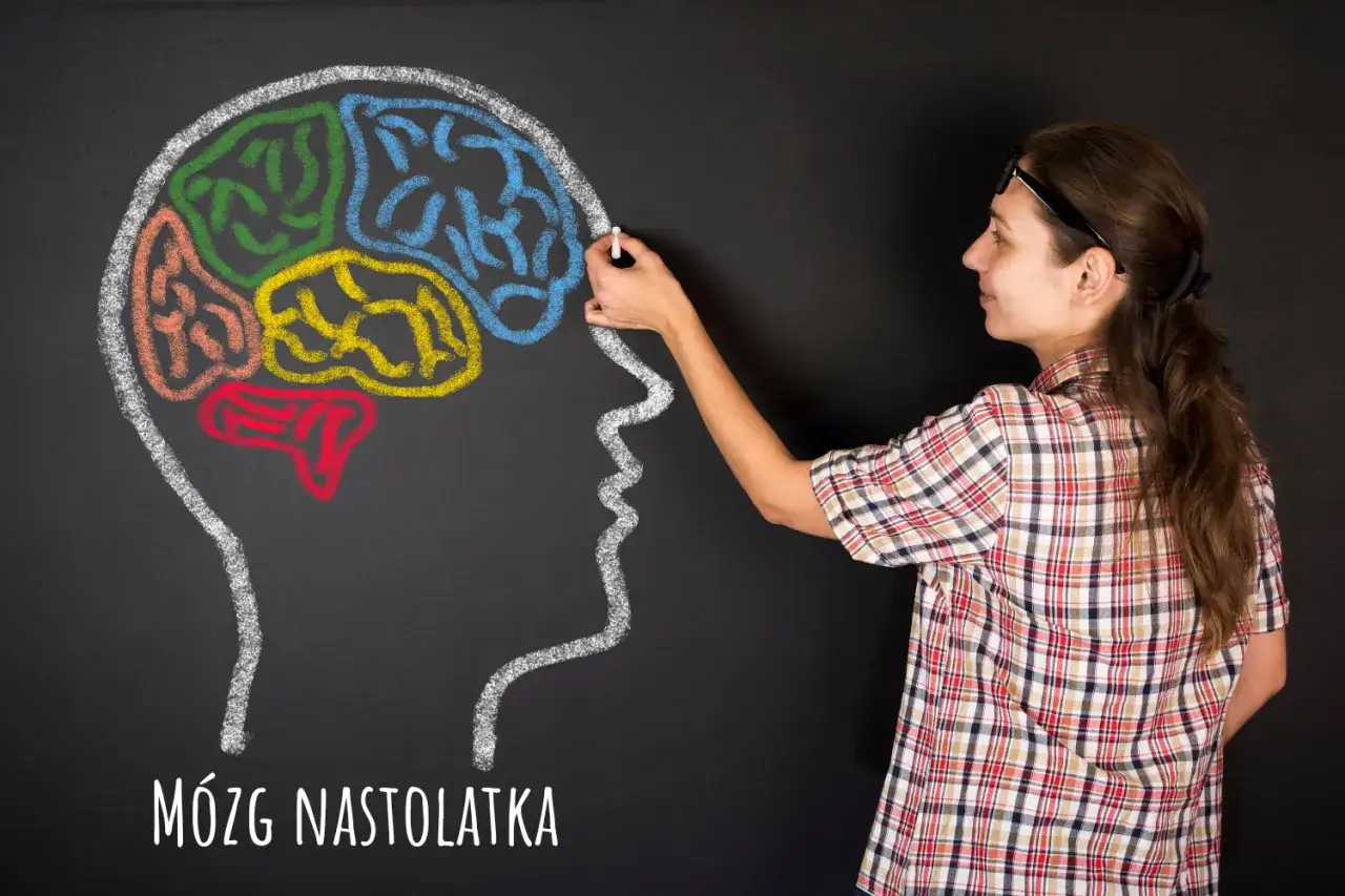 Kobieta rysuje kredą kolorowy mózg nastolatka. Jak rozmawiać z nastolatkiem który nie chce się uczyć?