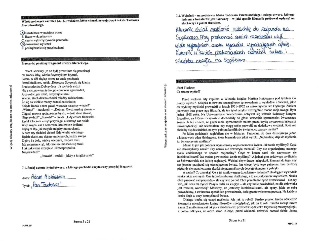 Powtórka z polskiego do matury: fragment 